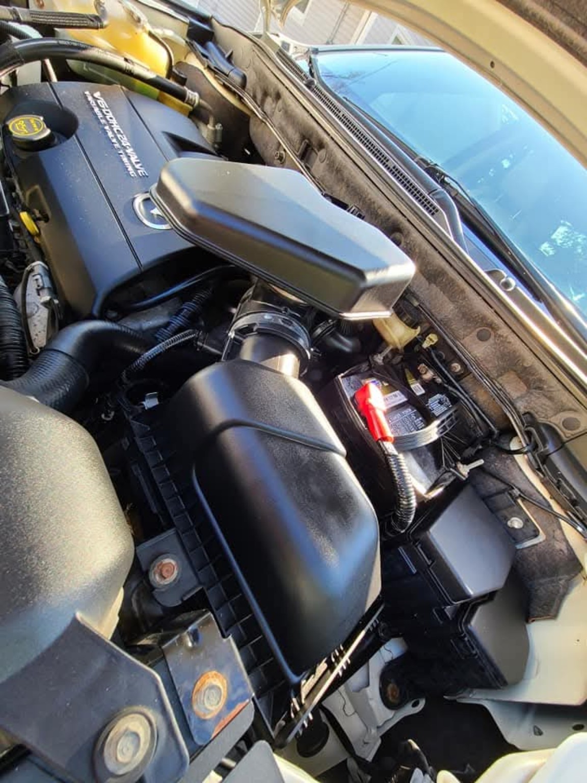 Engine bay after detailing