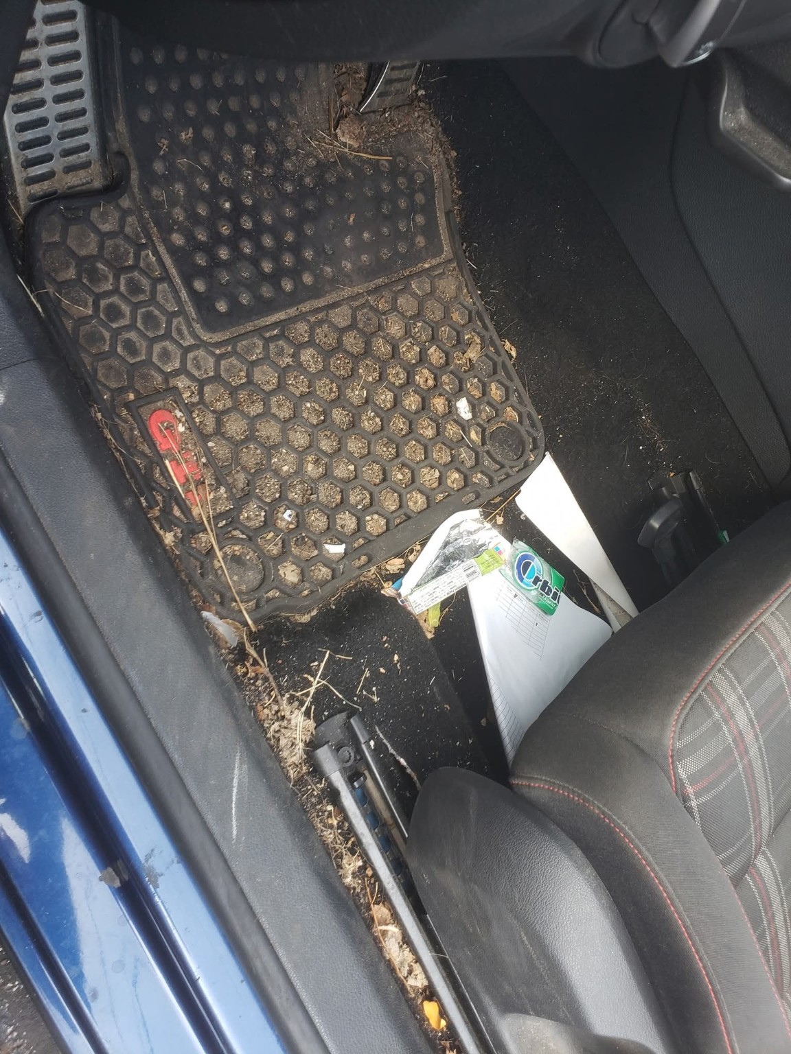 Interior before detailing